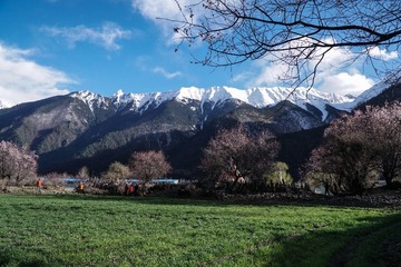 DSC01107a