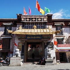 DSC01020a