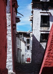 DSC01683a