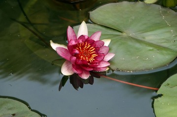 DSC03940.JPG