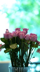7EA5B5BA-8949-45FF-A1C6-600768039C97/L0/001
