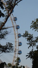 4796380
