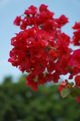7409268F-EBB6-47DD-94BD-070550BAE951/L0/001