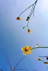 120A4D57-D86D-417A-B685-180AAED545D1/L0/001