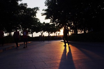 IMGP8426.JPG