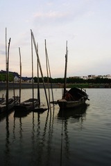 IMGP8444.JPG