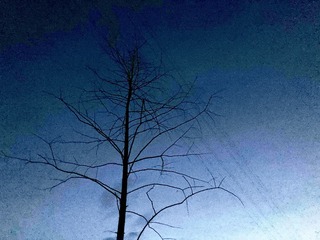 868EA715-6406-4329-B48F-1EB30D8FE8FD/L0/001