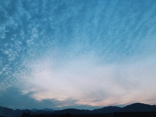 F76932B2-C1E6-49F4-8326-7204BB3AF56B/L0/001