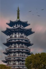 F62219AA-FA94-4FFA-A3A9-4FAD99E9114D/L0/001