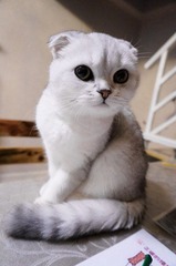 DSC00282.jpg