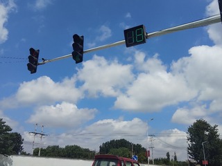 255617