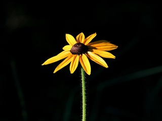 8935E6E3-7C36-4DBF-B172-A8507147235B/L0/001