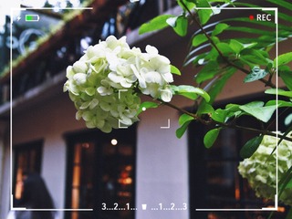 41AE5200-0040-4A4E-B0B6-137FF26115B2/L0/001