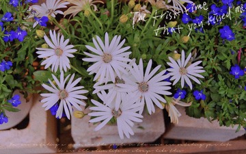 85BA0125-3009-4C1A-AF27-5D388649AF19/L0/001