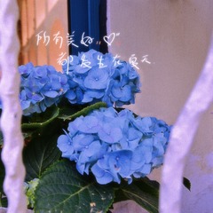 1BDC57CC-1833-467F-A7CB-FB5FB2A63D23/L0/001