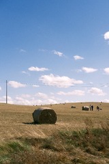 09C4FFA1-E213-4276-983D-7E2527E85AA7/L0/001