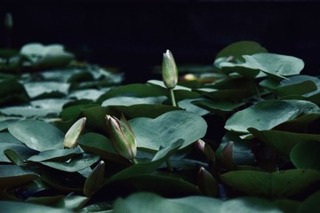 ABAAFCD7-A656-4FDD-AD74-CE54919F5E56/L0/001