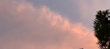 B8E13424-F00B-4A4F-AC49-C12C753F1F25/L0/001