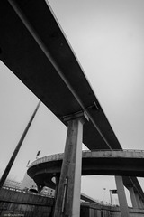 _MG_6753.jpg