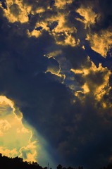 96100359-5D3D-4B94-BFAA-00337E8E4300/L0/001