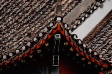 4881D319-FD7A-4824-A932-32CB631E0370/L0/001