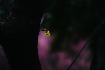 001