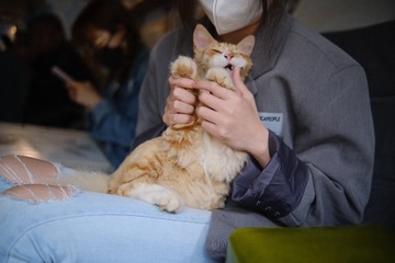3067