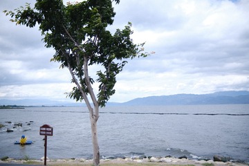 2007