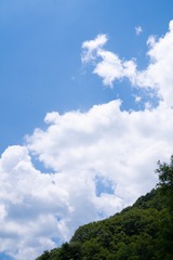 10073