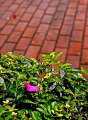 _MG_6485.jpg