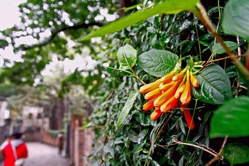 _MG_6612.jpg