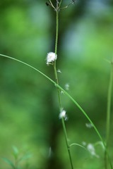 E87F5409-6BC5-49FA-8626-F2CA7E3A078A/L0/001