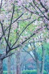 2B11BF20-B72C-42D5-B47A-5B648DFB42AA/L0/001