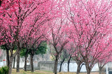 1040D9FF-C7E3-47DD-B0FD-E3452E9A1E9C/L0/001