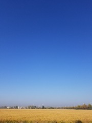1BDCEF5E-FEBD-49FF-90DF-7E5198CE1222/L0/001