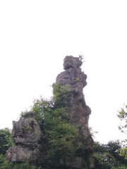 1206661