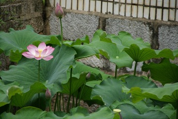 45682D2A-6E48-4D0B-A988-35AD871F201F/L0/001