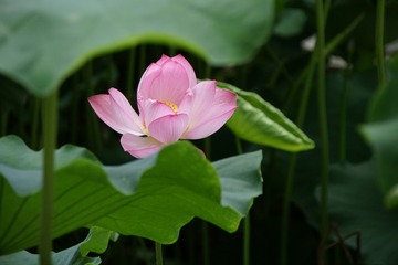 D89DBFEC-1D48-45B6-9107-391C84F03E2C/L0/001