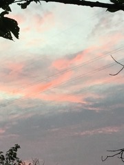 BDD38DF7-CA4A-4C1A-984B-03125E8D36CB/L0/001