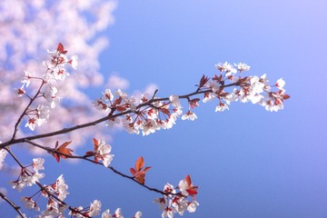 D7BFC572-B62B-47F0-AEBD-EB84F7487171/L0/001
