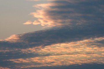 923627D0-7DBB-4F12-A2E0-E7F8A6ADEE2C/L0/001