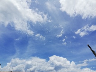 59355