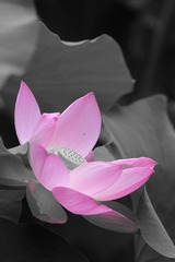 35CD64DC-ED7E-4BE8-8030-F343D793C0E2/L0/001