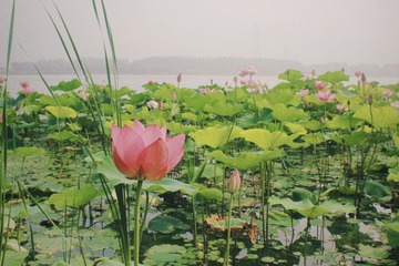 7F0CD515-06E5-4D22-B948-AD7A8D82A532/L0/001