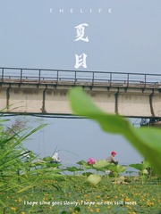 966C2375-17EC-4642-804D-AD3FBCCCEEFF/L0/001