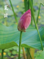 C8DF3CBC-3C1F-43AE-90A1-28E66289F8F5/L0/001