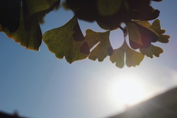 A740A0B7-5479-4BCB-9D7B-C369A023E9FD/L0/001