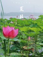 622F903D-86F0-46E9-A198-BB7F0080BBC0/L0/001