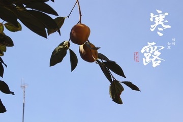 4D863010-312F-4AE5-96B3-346E4E800C08/L0/001