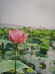 1D148105-30F9-472C-913A-C19533C6CAC1/L0/001